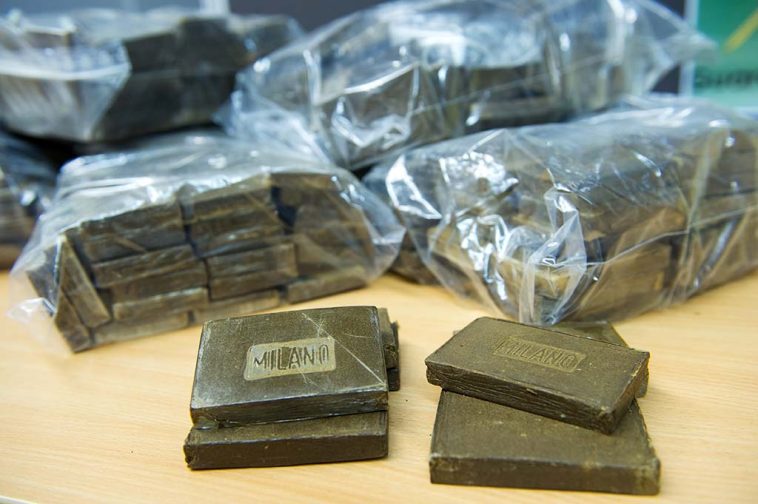 Bulgarie : Saisie record de plus d’une demi-tonne de cannabis provenant du Canada Bulgarie : Saisie record de plus d’une demi-tonne de cannabis provenant du Canada