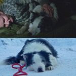 Messi, le chien Anatomy Of A Fall, était le VIP du déjeuner des Oscars