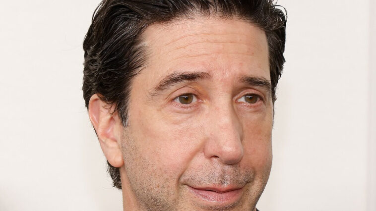 David Schwimmer, mélancolique, émet une théorie selon laquelle Men In Black aurait pu faire de lui une star de cinéma David Schwimmer, mélancolique, émet une théorie selon laquelle Men In Black aurait pu faire de lui une star de cinéma