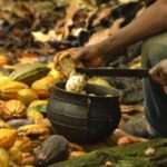 La Côte d’Ivoire et le Ghana veulent approfondir leur coopération sur le cacao et la noix de cajou La Côte d’Ivoire et le Ghana veulent approfondir leur coopération sur le cacao et la noix de cajou