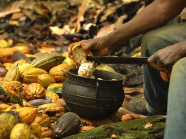 La Côte d’Ivoire et le Ghana veulent approfondir leur coopération sur le cacao et la noix de cajou La Côte d’Ivoire et le Ghana veulent approfondir leur coopération sur le cacao et la noix de cajou