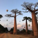 Madagascar ratifie deux accords de prêt de 153 millions de dollars pour la résilience climatique et la reprise économique