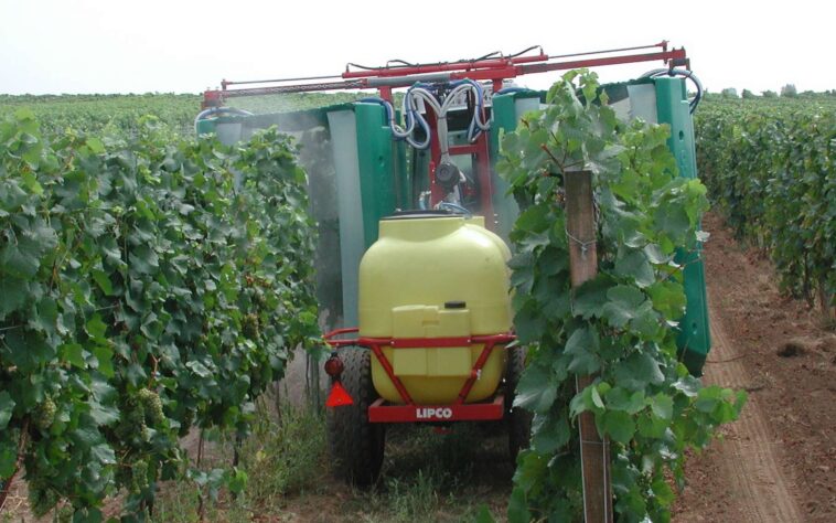 Alerte en France : des pesticides courants dangereux pour les bébés et les jeunes enfants, selon l’Anses