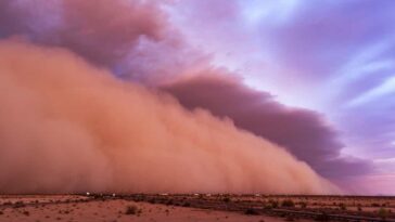 Tempêtes de sable : ces pollutions mortelles venues du désert que l’on ignorait