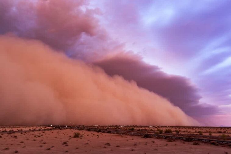 Tempêtes de sable : ces pollutions mortelles venues du désert que l’on ignorait