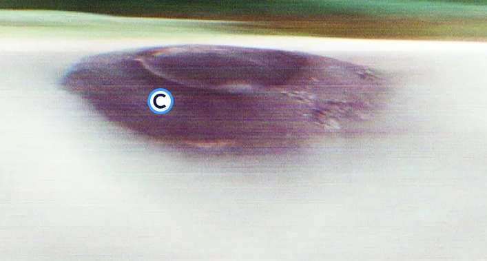 Arsia Mons au lever du soleil : un volcan martien émerge des nuages dans une image saisissante de la NASA Arsia Mons au lever du soleil : un volcan martien émerge des nuages dans une image saisissante de la NASA