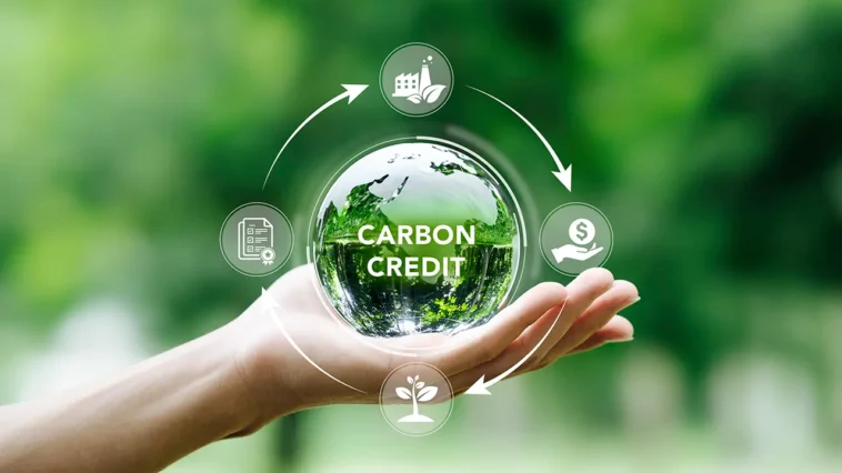 Climat : les scientifiques européens s’élèvent contre le recours aux crédits carbone internationaux