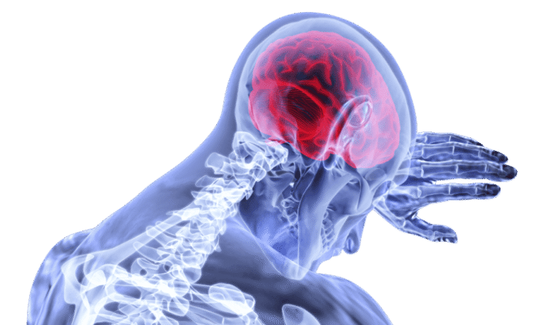 Texas : une septuagénaire meurt après s’être rincé le nez avec une eau contaminée par une amibe mangeuse de cerveau