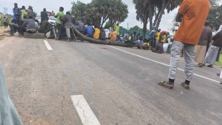 Tchad : six enfants tués dans un accident de la route dans le Mayo-Kebbi Est Tchad : six enfants tués dans un accident de la route dans le Mayo-Kebbi Est