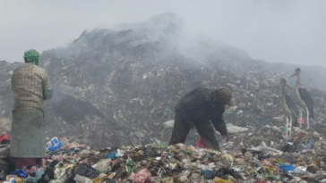 Plastique : la commodité toxique qui envahit nos corps et notre planète