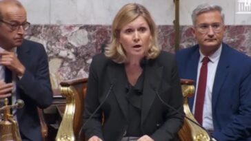 Pourquoi le Rassemblement national lâche Bayrou et réclame des élections anticipées