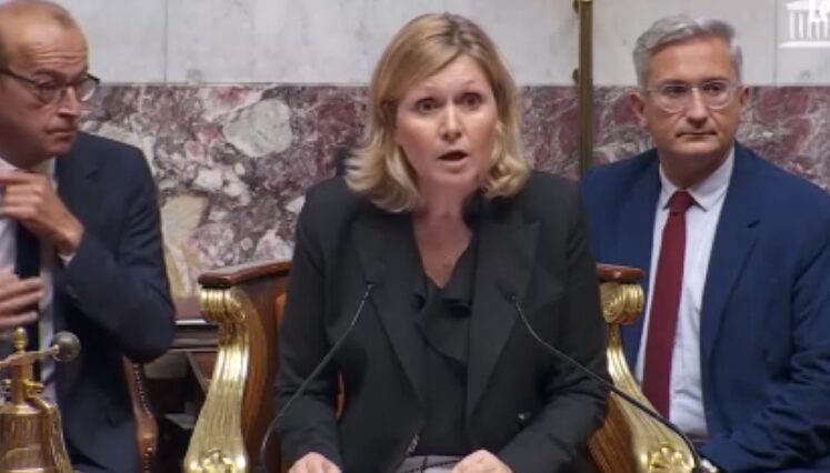 Pourquoi le Rassemblement national lâche Bayrou et réclame des élections anticipées